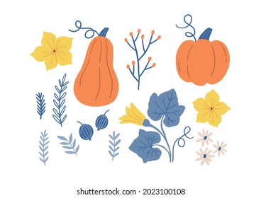 Vector autumn set with cute pumpkin, pumpkin flowers and autumn plants. 