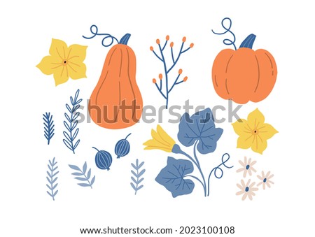 Vector autumn set with cute pumpkin, pumpkin flowers and autumn plants. 