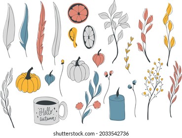 Vector autumn set with elements of feathers, pumpkins, branches with leaves, flowers and berries, orange slices, a cup of tea, physalis. Hello, autumn. Collections of elements for decoration, design