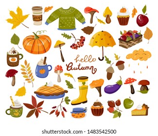 Vector autumn set with autumn elements (vegetables, pumpkin, leaves, berries, mushrooms, pastry, beverages with whipped cream, pie,cupcakes), umbrella, cute cloud