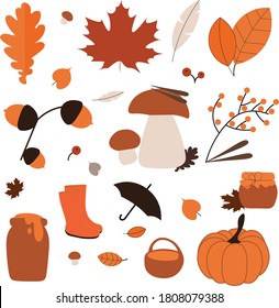 Vector autumn set icons. Autumn leaves, mushrooms, berries, umbrella, pumpkin, shoes, seeds. Fits for web, stickers, icons, tags, gift cards