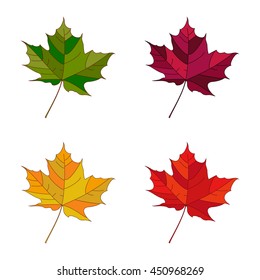 Vector autumn set leaves.  Leafs set element floral color garden