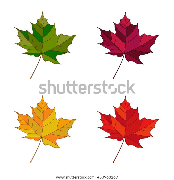 Vector Autumn Set Leaves Leafs Set Stock Vector Royalty Free