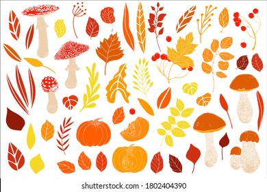 Vector autumn set with leaves, mushrooms, pumpkins, berries.