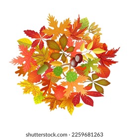 Vector autumn set of leaves. Seasonal yellow, red, burgundy leaves.