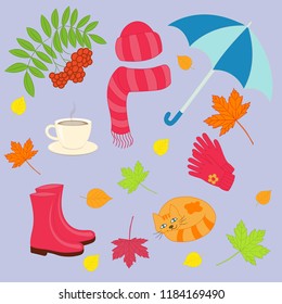 Vector autumn set on purple background: hat with scarf, gloves, umbrellas, rowan, leaves, cup of tea, sleeping cat