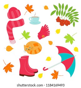 Vector autumn set on white background: hat with scarf, gloves, umbrellas, rowan, leaves, cup of tea, sleeping cat