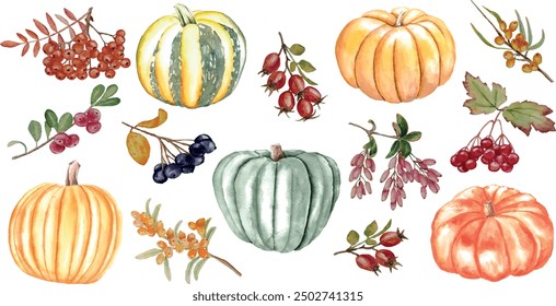Vector autumn set of pumpkins and rose hips viburnum rowan sea buckthorn cranberries, isolated on white background, watercolor illustration, for card invitation design