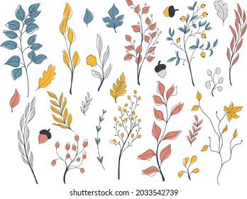 Vector autumn set with red, blue, and yellow doodle elements of branches with leaves, flowers and berries, foliage, anchors. Hello, autumn. Collections of elements for decoration, design, greeting