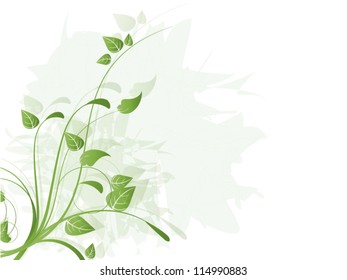 Vector autumn spring background with floral elements