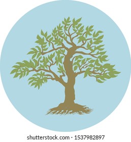 vector of autumn, spring, summer and winter trees isolated on a white and dark background