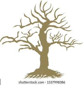 vector of autumn, spring, summer and winter trees isolated on a white and dark background