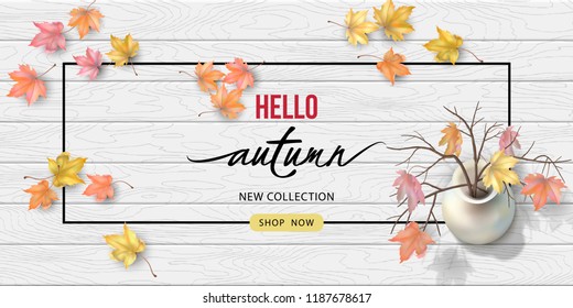 Vector autumn top view composition with fallen leaves on a wooden background