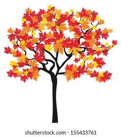 Vector autumn tree