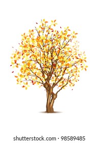 Vector autumn tree isolated on white, vector illustration, eps10, three layers, easy editable