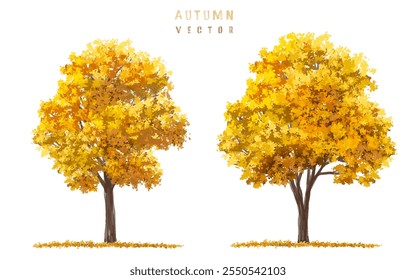 Vector del árbol de otoño para el paisaje, planta de la acuarela para el dibujo arquitectónico, ambiente y jardín, Elementos botánicos, árbol floreciente en otoño 