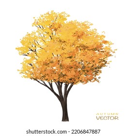 Vector autumn trees collection,watercolor blooming flower tree or forest side view isolated on white background for landscape and decorative ,elements for environment or and garden,botanical garden