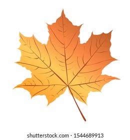 Vector Autumn  with white background, maple leaves.