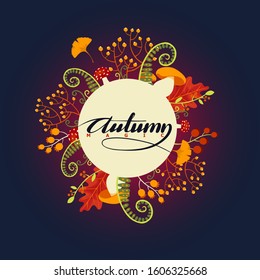 Vector autumn wild herbs, berries and mushrooms in circle on the dark gradient background