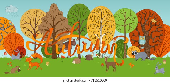 Vector autumn woodland background in cartoon style. Cute wild animals and birds between autumn trees and on meadow. Fox, moose, deer, hare, squirrel, racoon, hedgehog, owl, beaver and others.