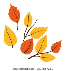 Vector autumn yellow dry alder leaves. Flat illustration with brown plants for design