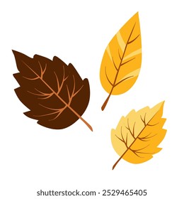 Vector autumn yellow dry alder leaves. Clipart is on white background. Isolated flat illustration with brown plants for design, greeting card, banner, board, flyer, sale, poster