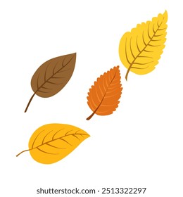 Vector autumn yellow and orange dry alder leaves. Clipart is on white background. Isolated flat illustration with brown plants for design, greeting card, banner, board, flyer, sale, poster