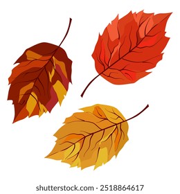 Vector otoño hojas de abedul secas amarillas y naranjas. Ilustración plana con plantas marrones para el diseño