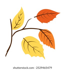 Vector autumn yellow and orange dry alder leaves. Clipart is on white background. Isolated flat illustration with brown plants for design, greeting card, banner, board, flyer, sale, poster