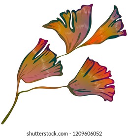 Vector autumn yellow and red ginkgo leaves. Leaf plant botanical garden floral foliage. Isolated illustration element. Vector leaf for background, texture, wrapper pattern, frame or border.