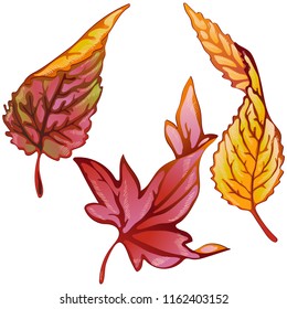 Vector autumn yellow and red leaves. Leaf plant botanical garden floral foliage. Isolated illustration element. Vector leaf for background, texture, wrapper pattern, frame or border.