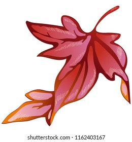 Vector autumn yellow and red leaves. Leaf plant botanical garden floral foliage. Isolated illustration element. Vector leaf for background, texture, wrapper pattern, frame or border.