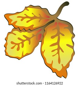 Vektor Herbstgelbe Rosenhühnerblätter. Blattpflanze botanischer Garten Blumenblätterblättern. Isolierte Illustrationselemente. Vektorblatt für Hintergrund, Textur, Wrapper-Muster, Rahmen oder Rahmen.