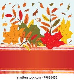 vector autumnal background with leaf fall