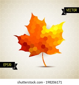 Vector autumnal background made of hexagons. Background with autumn maple leaf. Abstract vector with hexagonal honey combs. Label design. Geometric shapes. Season backdrop. Autumn template.