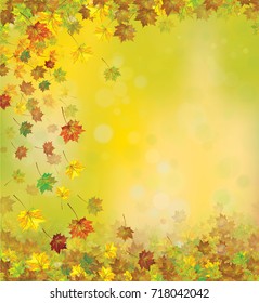 Vector autumnal leaves   background.