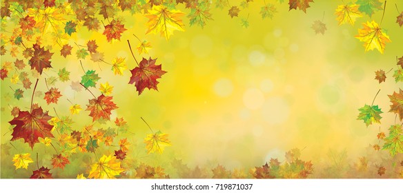 Vector autumnal leaves background.