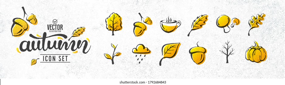 Vector of autumn/fall icons and design