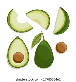 Vector avocado collection in cartoon style. Bright avocado vegetables isolated on white background. Healthy organic avocados with leaves and slices for autumn farm market design.