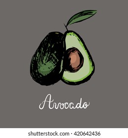 Vector avocado colored sketch with a hand lettered word Avocado on a grey background. Super food vector image.