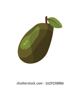 Vector avocado food icon. isolated on white background