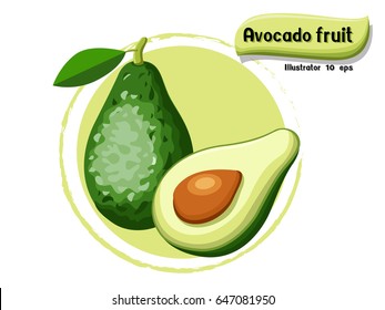 Vector Avocado fruit isolated on color background,illustrator 10 eps