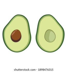 Vector avocado icon isolated on white background. Simple modern flat illustration. Two half of avocado Hass. Different green colors.