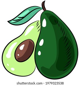 Vector avocado illustration icon fruit isolated cartoon