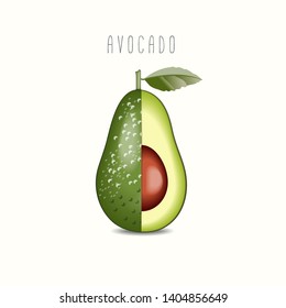 Vector Avocado with leaves and pit. Cutting avocado fruit isolated on white