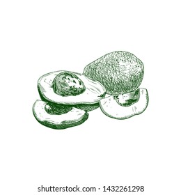 Vector Avocados Drawing Isolated on White Background, Green Lines, Hatch Hand Drawn Illustration, Group of Fruits.