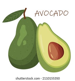 Ilustración del vector de aguacates. Vocado entero y cortado aislado en fondo blanco.