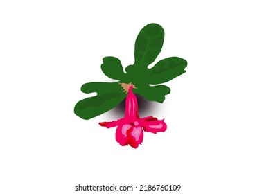 azalea vectorial Utilizada para ilustraciones, jarrones.
