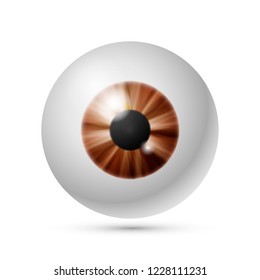 Vector azure brown eye ball