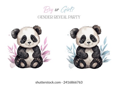 vector baby panda in watercolour style. Boy or girl gender reveal party poster. Baby shower decoration 